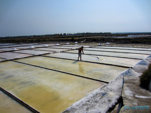 Salinas da Figueira da Foz (18) Homem a trabalhar a apanha do sal [en] Salt fields of Figueira da Foz in Portugal