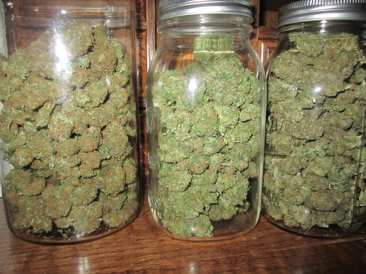 http://25.media.tumblr.com/tumblr_mdkbrjnVqc1r76l5do1_1280.jpg
