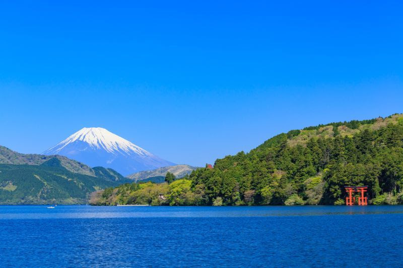 箱根温泉旅馆精选 在这里一览富士山美景 马蜂窝