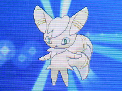 色違いニャオニクス をご紹介 有栖のポケモン日記