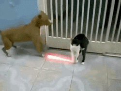 funny meme comedy - when you tell em you a jedi but they dont believe you