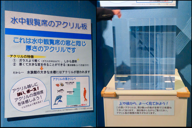 名古屋港水族館の水槽で使用されてるアクリル板 6 写真共有サイト フォト蔵