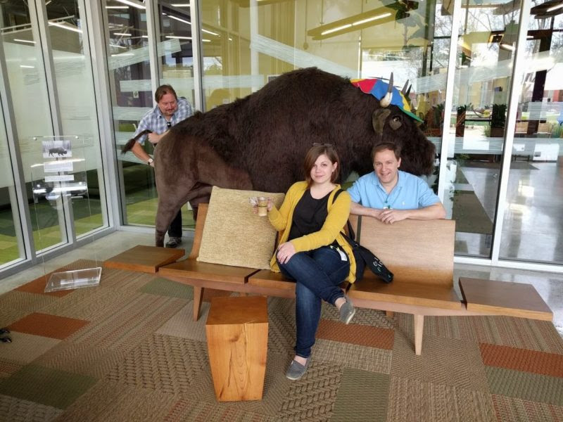 google-buffalo