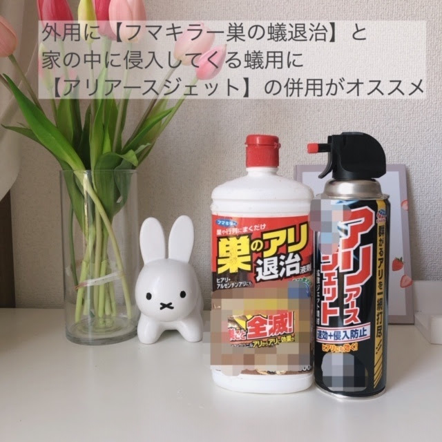 アリ 退治 おすすめ Article