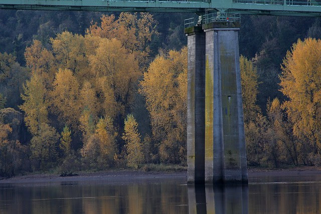 Autumn, Sellwood Bridge