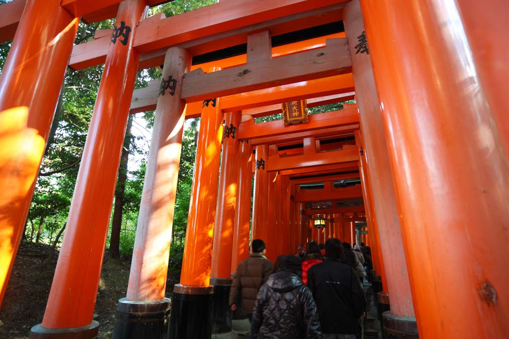 ゆんフリー写真素材集 No 8725 伏見稲荷大社 千本鳥居 日本 京都