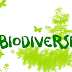 Apa Itu Biodiversity