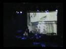 LIVE_peekay tayloh_comoddor