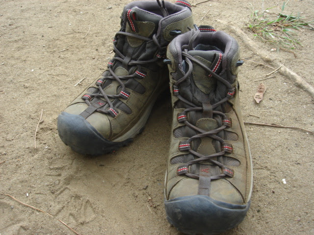 野遊遊人ブログ タージー ミッド キーン Keen
