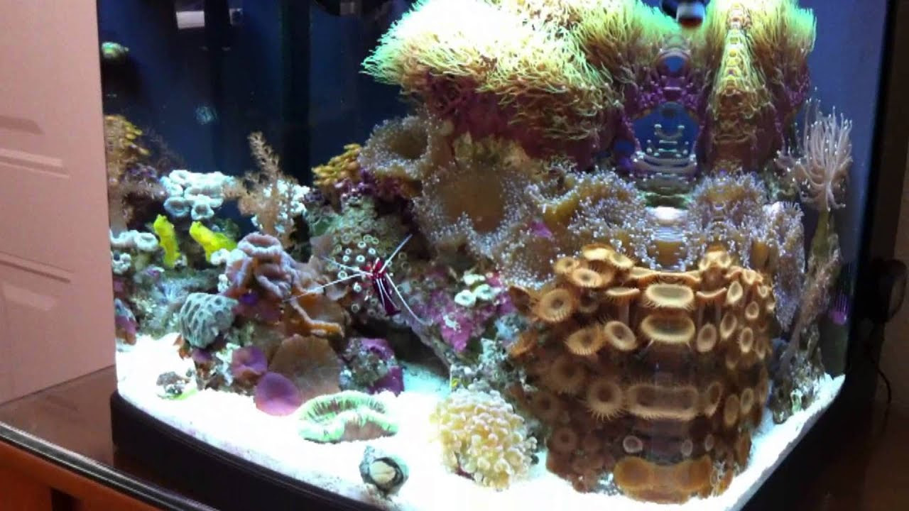 BioCube 14 Update IV - YouTube