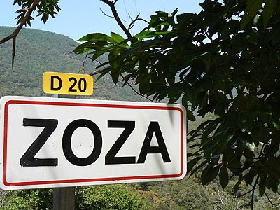 zoza.jpg