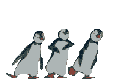 Dancing Penguins