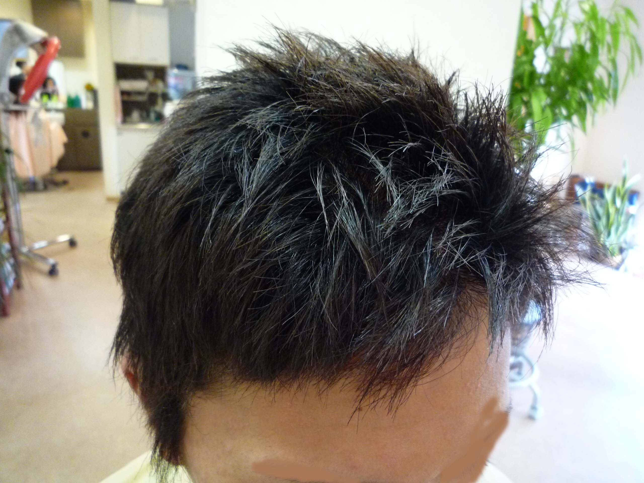 男性縮毛矯正 写真集