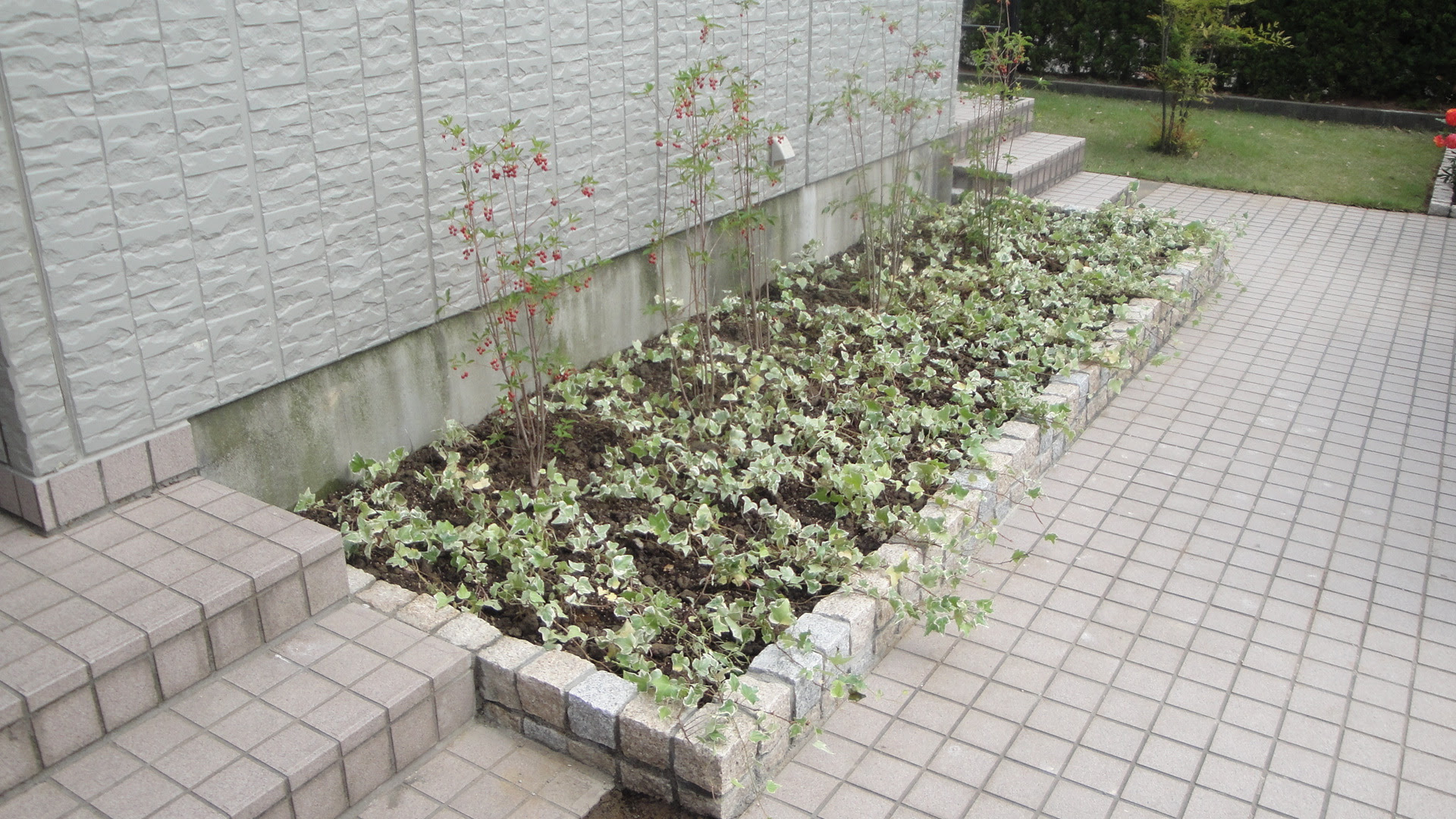 坂井市ｔ様邸 花壇改修 坂井市の造園は前川造園