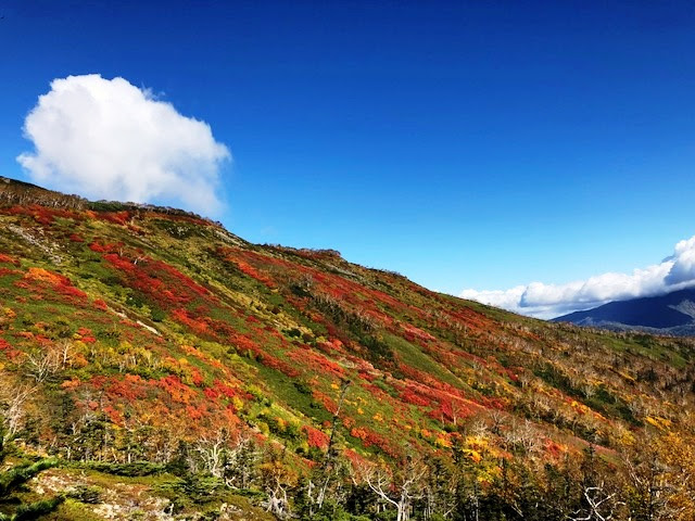 沼の平 愛山渓 赤岳 Mountain Flow