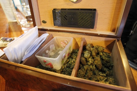 Cogollos de marihuana en un club privado de cannabis en Madrid. | Sergio González
