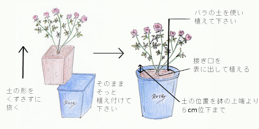 イメージ