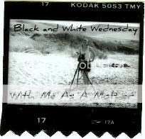 Black and White Wednesday