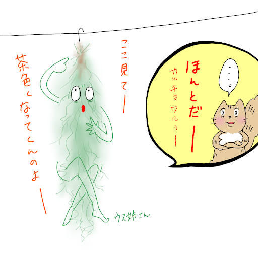イメージ