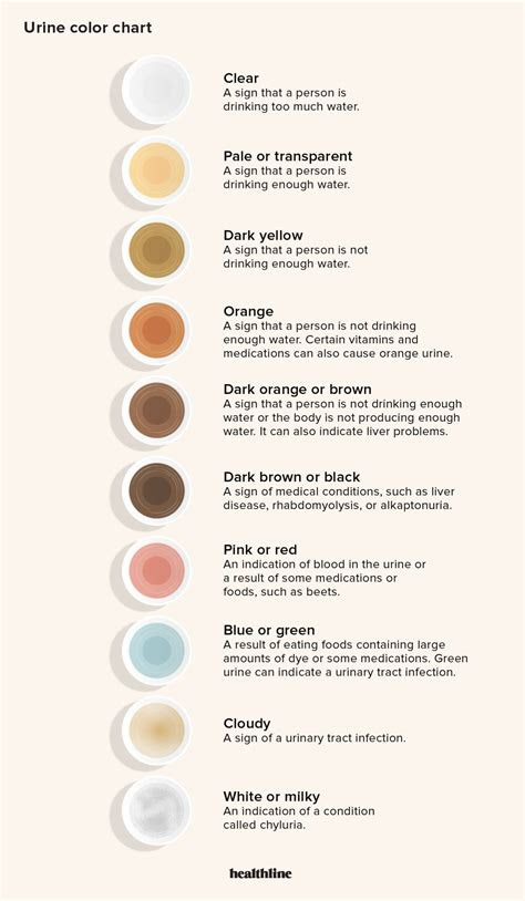  urine color chart whats normal and when to see a doctor