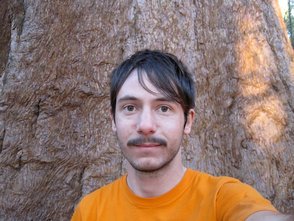 metree