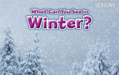 Free Read What Can You See in Winter? (Seasons) PDF Book Free Download PDF