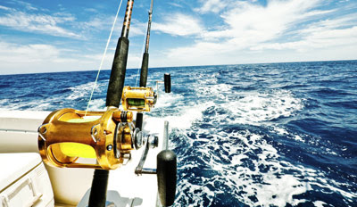 Orange County Deep  Fishing on 25   Deep Sea Fishing Trip Off Marina Del Rey  Reg   49   Travelzoo