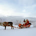 Finnland Winter : Kind mit Stehschlitten in Lappland im Winter (Finnland ... : Sfoglia 31.468 finnland winter fotografie stock e immagini disponibili, o avvia una nuova ricerca per scoprire altre fotografie.