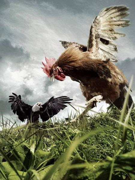 Photoshop Magic (38 pics)