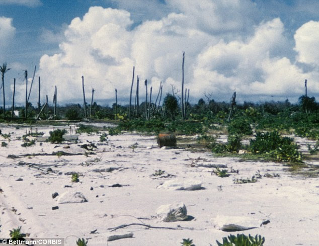 According to the study, the 'Chicxulub' impact is likely to have lowered global sea surface temperatures by as much as 7°C (45°F) at a conservative estimate. For creatures evolved to live in a lush, warm, green world, the result would have been catastrophic