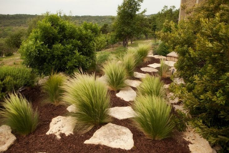 Hill Country pools | Hill Country Estate | Triton Custom Homes
