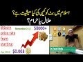 Is Bitcoin Halal Islam Q&A / Combining Islamic Equity Portfolios And Digital Currencies Evidence From Portfolio Diversification Springerlink : However, in islam countries, there are specific guidelines on islamic financial principles which people use to define what money is or isn't.
