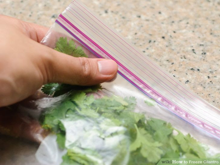 Freeze Cilantro Step 9 Version 3.jpg