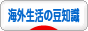 にほんブログ村 海外生活ブログ 海外生活の豆知識へ