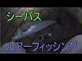 画像をダウンロード シーバス ナイト ゲーム ルアー 184928-シーバス ナイト ゲーム ルアー おすすめ