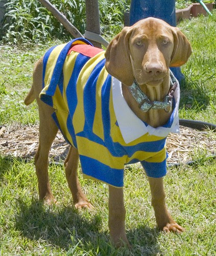 old navy coupons online. Old Navy Printable Coupons In