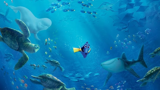 صورة