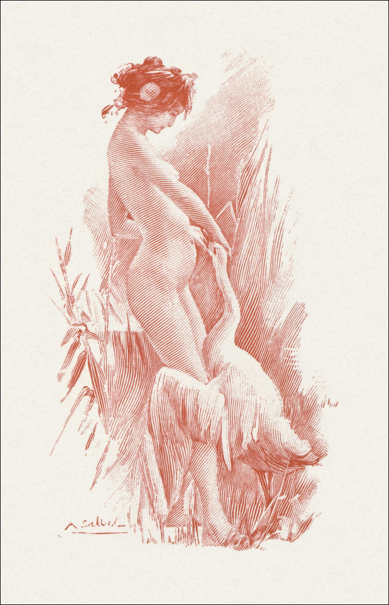 A.Calbet, Leda
