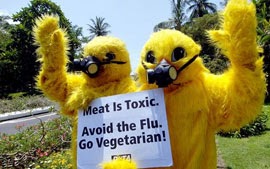 Vegetarianos protestam contra gripe aviária