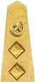 Colonel Pakistan Army.jpg