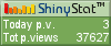 Web site analytics