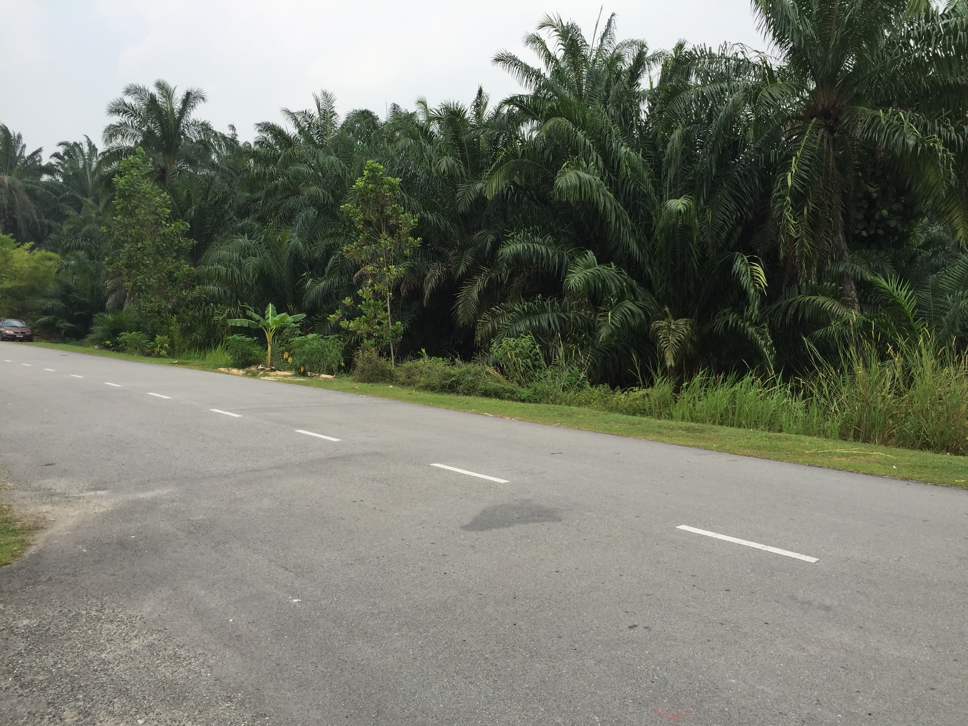 Teres Setingkat Unit Tepi Untuk DISEWA, Taman Warisan 