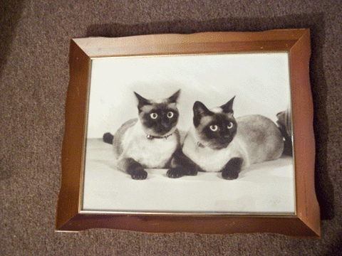 [photo of Gary and Len]