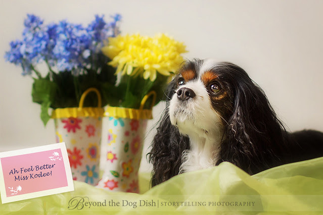 20130324-181_FeelBetter