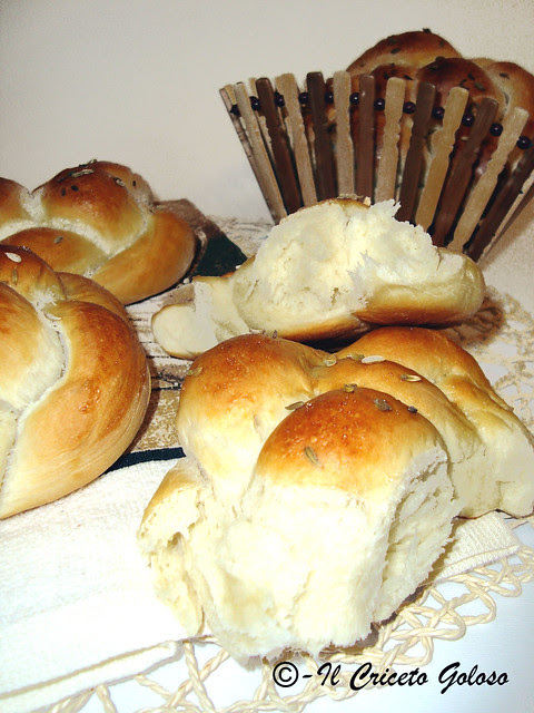 Panini alla ricotta 2