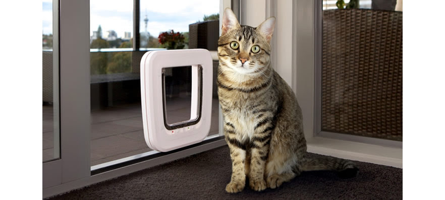 Cat Door &amp; Dog Door Supplier Australia &amp; New Zealand | Transcat