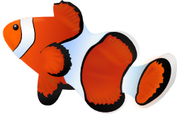 カクレクマノミ ニモ のイラスト 無料イラスト作成ソフトinkscape インクスケープ の作品集