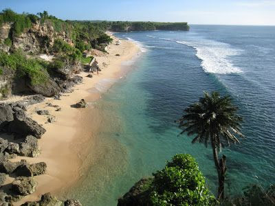 indah is beauty, balangan beach, bali, coconut tree, coral, amriholiday, dreamline, Beautiful Holiday Destinations