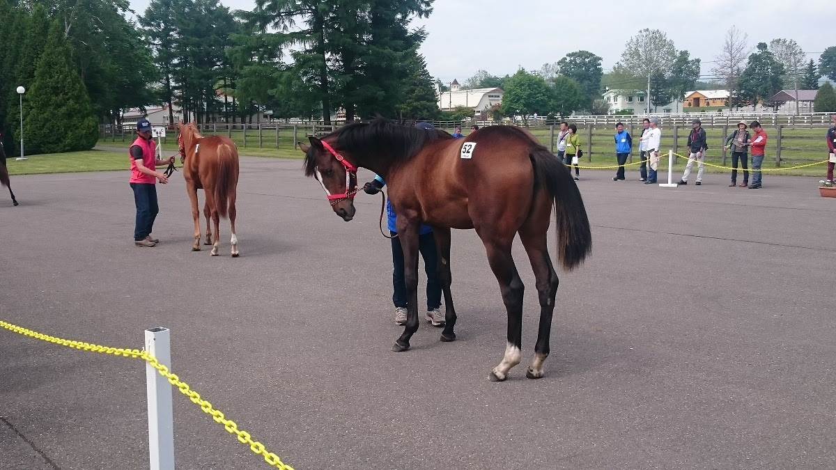 First Step Of Horse Owner ラフィアンターフマンクラブ