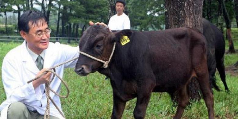 Park Se Pill, profesor di Pusat Riset Stem Cell Universitas Nasional Jeju, pada 2009 berfoto bersama seekor sapi hitam hasil klon pertama yang dibuat dia bersama timnya. Foto itu diambil di sebuah pusat promosi ternak di Kota Jeju, Korea Selatan. | EPA